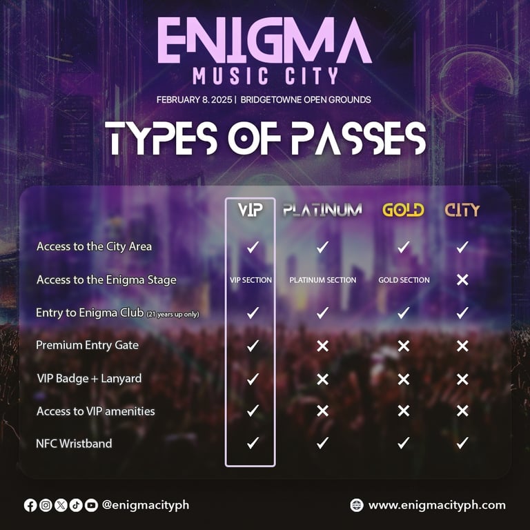 Enigma Music City's types of passes