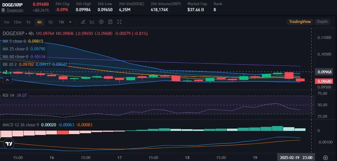 DOGE price on Bitrue Market