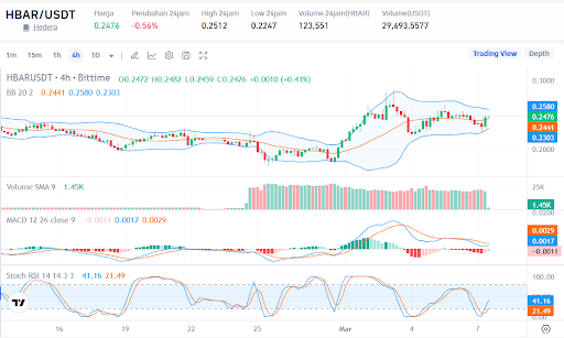 Sumber: Market Bittime
