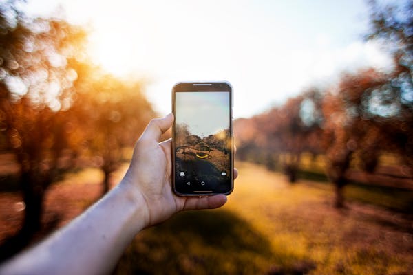 Foto ilustrasi dari Pexels