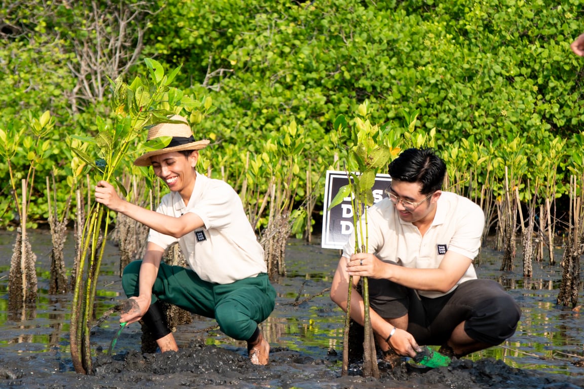 Penanaman mangrove oleh Dus Duk Duk di Teluk Benoa, Bali.