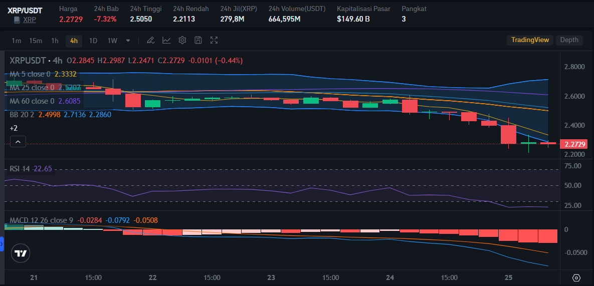 XRP price on February 25 | Source: Bitrue Market