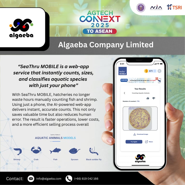 Algaeba Company Limited