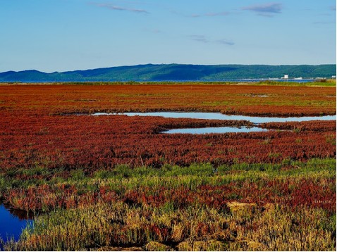 Danau Notoro di Abashiri