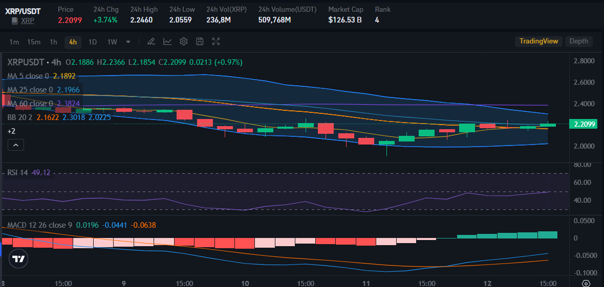 XRP price on 12 March | Source: Bitrue Market
