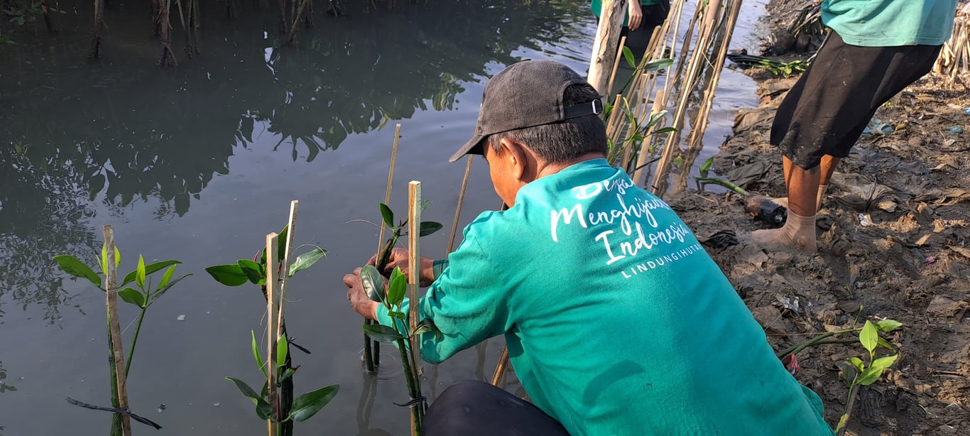Penanaman mangrove di Tambakrejo Semarang.