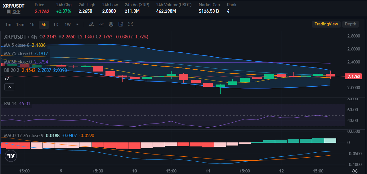 XRP price on 12 March | Source: Bitrue