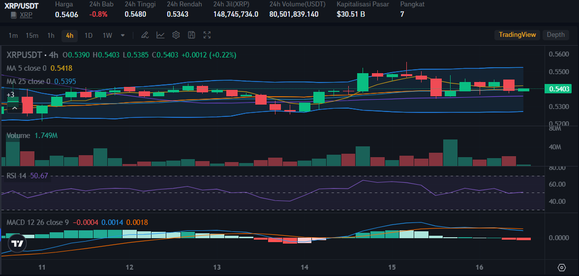 Source: Bitrue Market