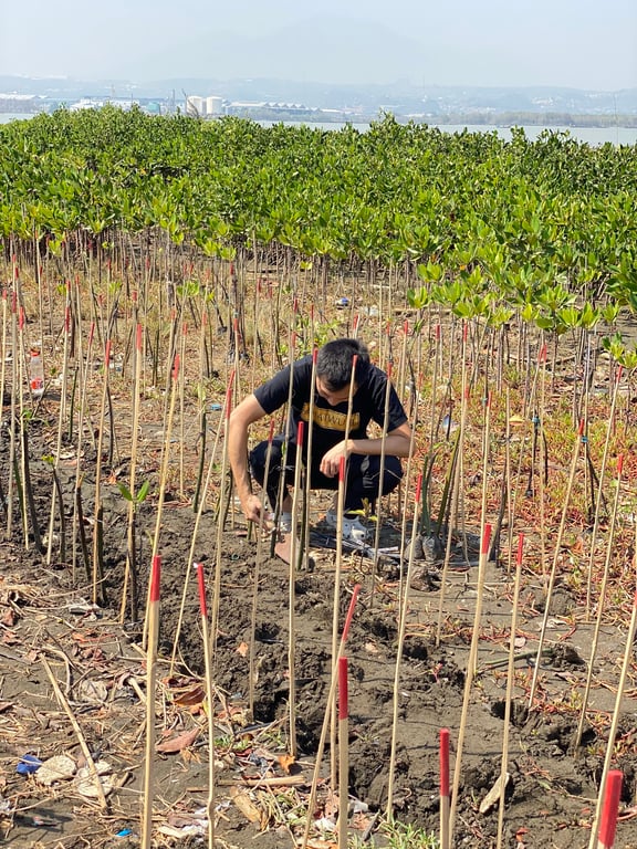 Kegiatan penanaman mangrove The Wujil Resort tahun 2023.