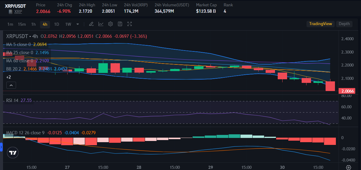 XRP Price 30 December on Bitrue Market