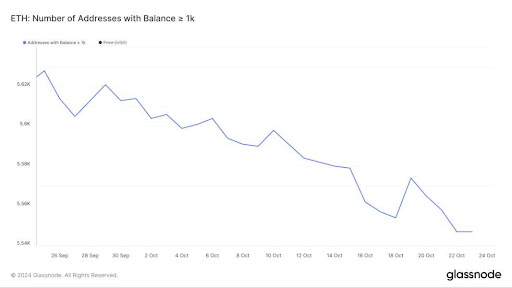Sumber: tradingview.com