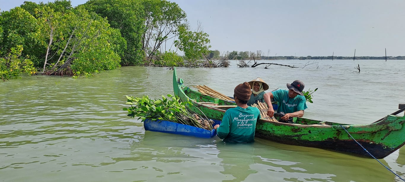 Lokasi penanaman di wilayah Bedono, Demak (Foto: Tim LindungiHutan)