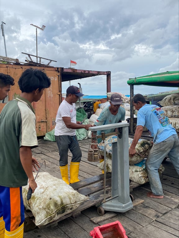 Proses Penimbangan Hasil Panen