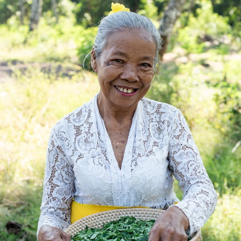 Hand-selected with care, skilled local women meticulously pick each moringa leaf, ensuring unparalleled quality and purity in every harvest.