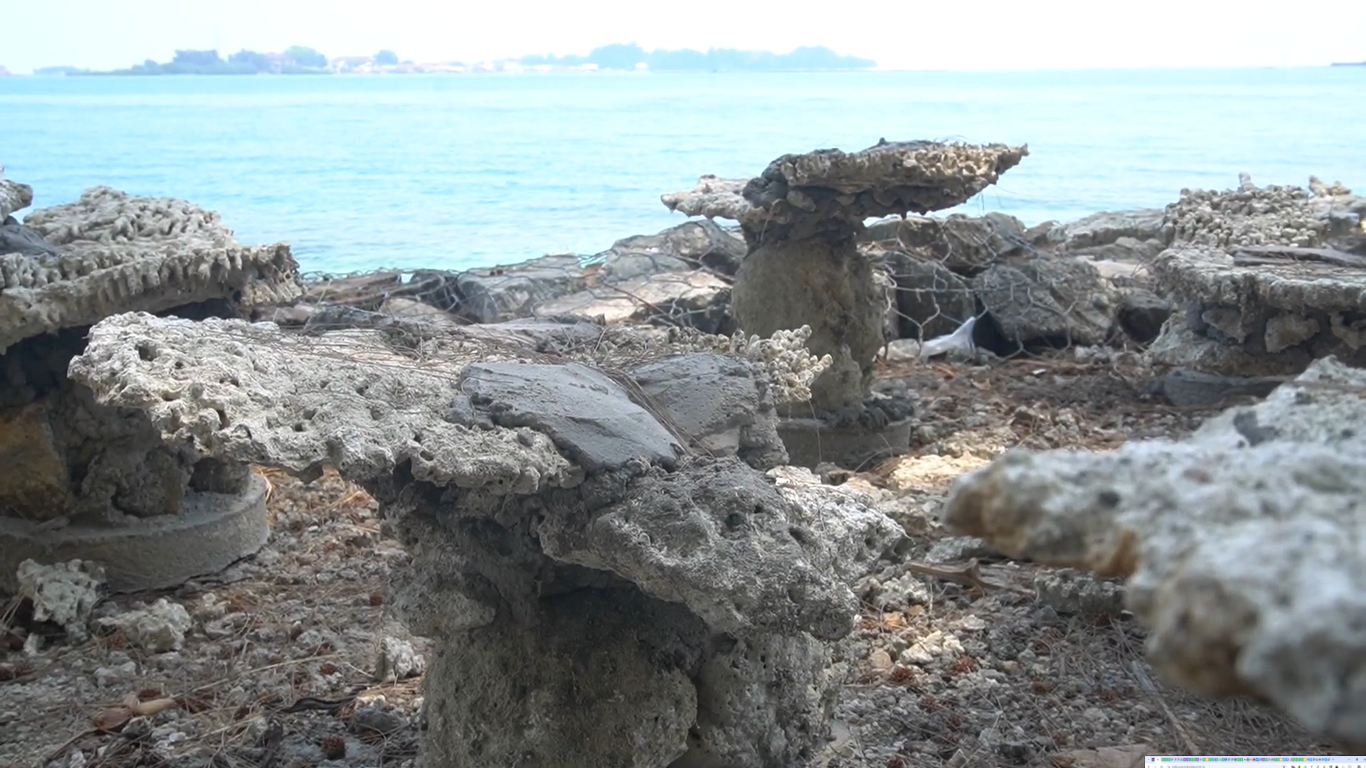 Lokasi persiapan penanaman <i>coral</i> di Pulau Pramuka.