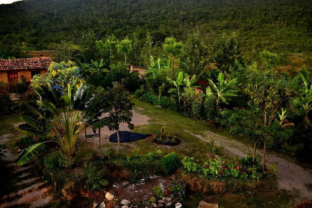 A permaculture farm surrounded by lush natural landscapes.