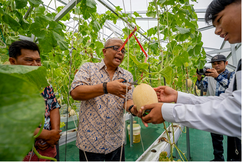 Direktur SDM Krakatau Steel, Suryantoro Waluyo, pada giat panen perdana greenhouse hidroponik, Rabu (14/1)