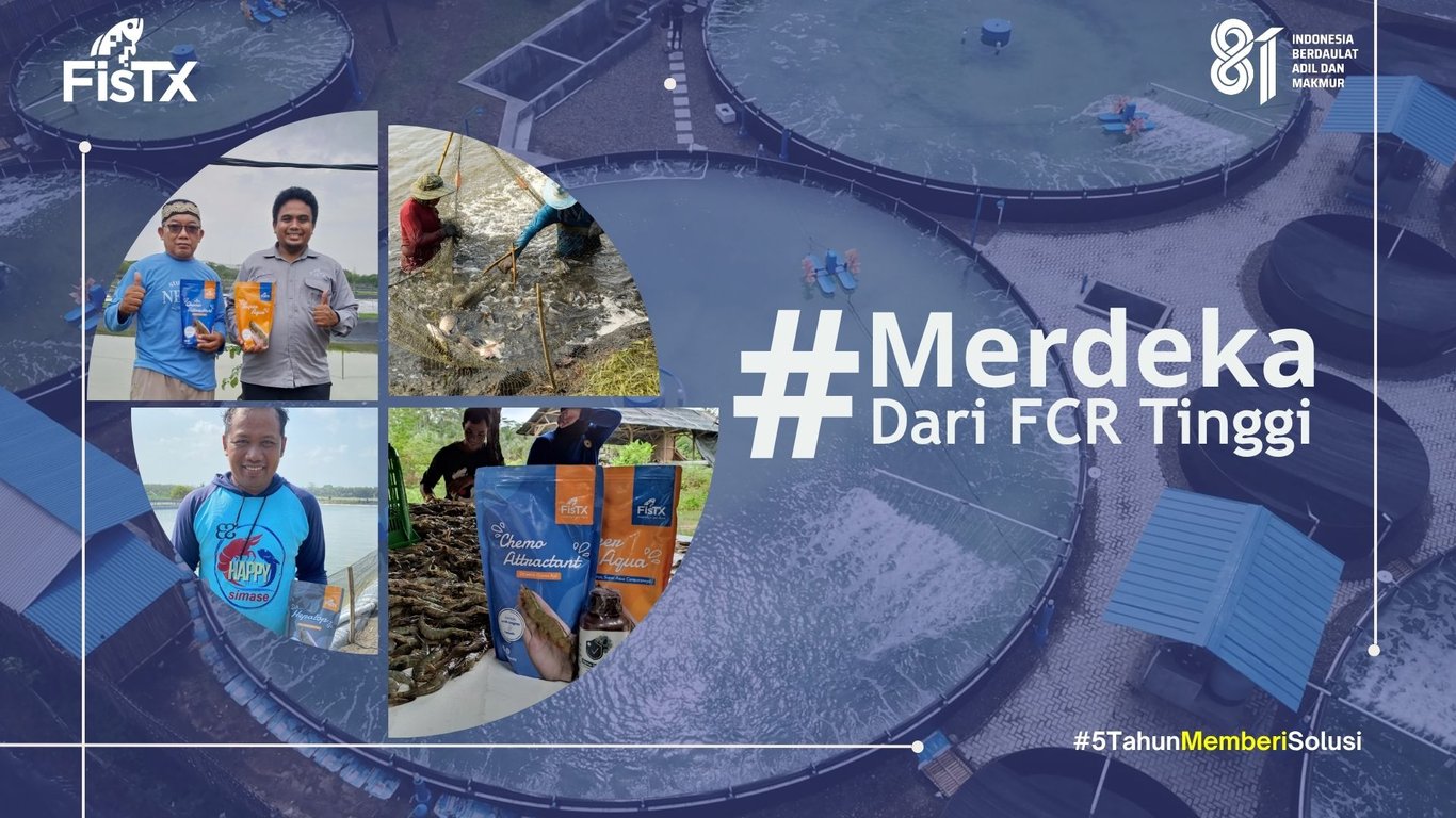Merdeka Dari FCR Tinggi