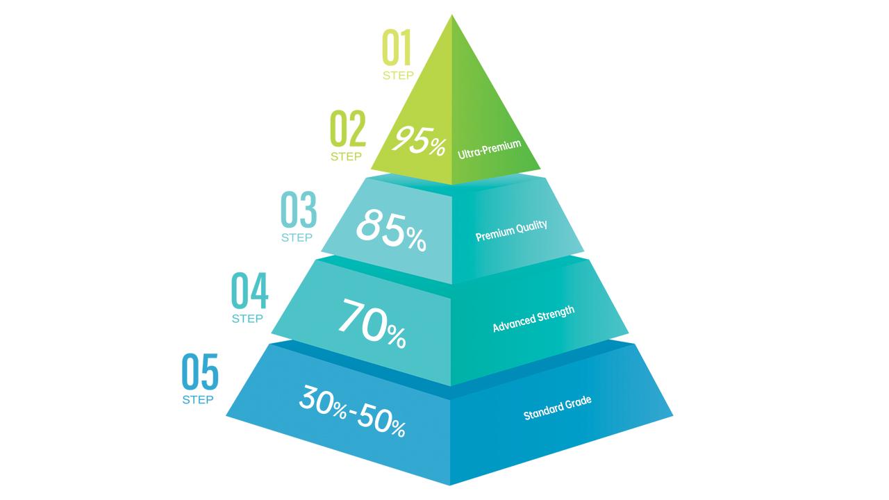 Fish oil purity pyramid ranking levels from standard 30 percent to ultra-premium 95 percent concentration, illustrating the hierarchy of Omega-3 quality.