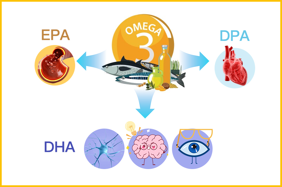 A single, ultra-pure Omega-3 softgel provides comprehensive daily repair for your heart, joints, and brain.