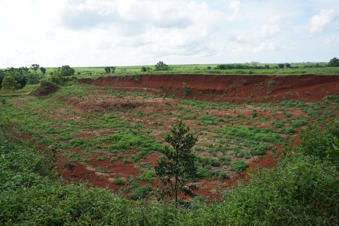 Kondisi lokasi penanaman LindungiHutan di Jawa Barat (Gambar: Tim LindungiHutan)