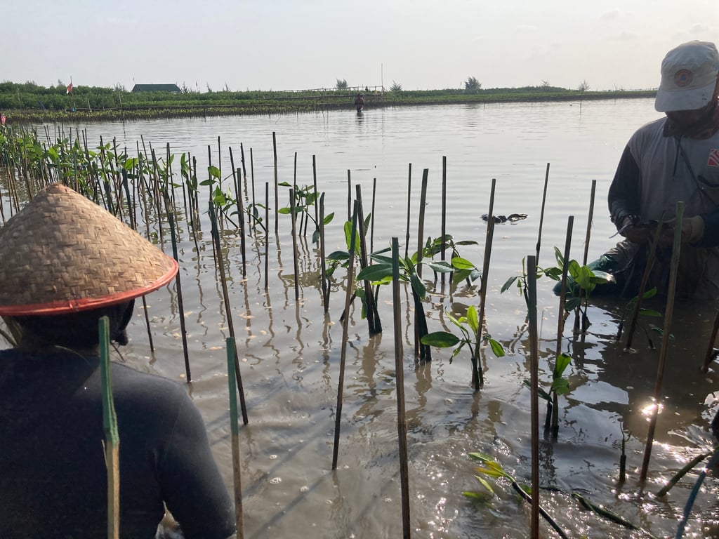 <i>Penanaman mangrove di pesisir (Foto: LindungiHutan)</i>