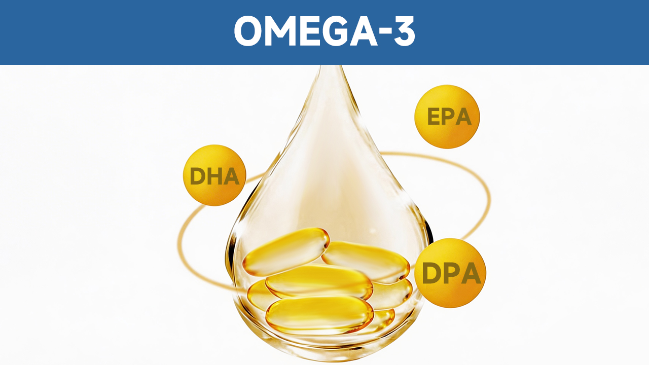 Vedonon Triple-A Formula: How DPA acts as a metabolic catalyst to bridge the cellular absorption gap of EPA and DHA.