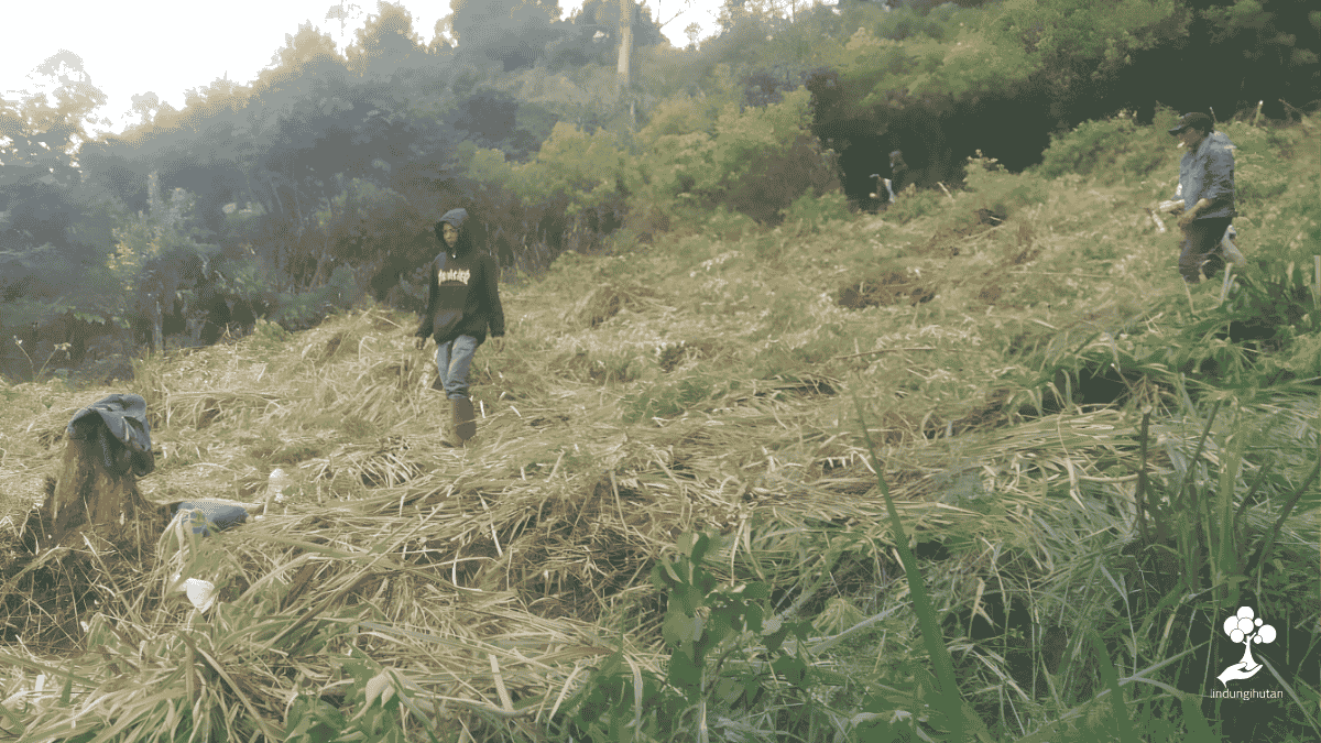 Kondisi aktual lokasi di Pengalengan (Dokumentasi: LindungiHutan)