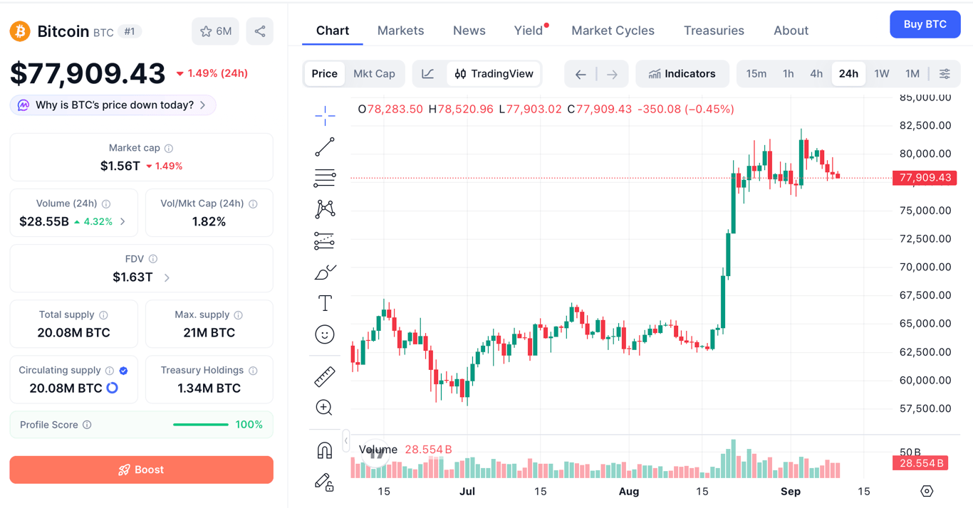 Ilustrasi pergerakan Bitcoin (BTC) yang masih di bawah US$80.000. Foto: CoinMarketCap.