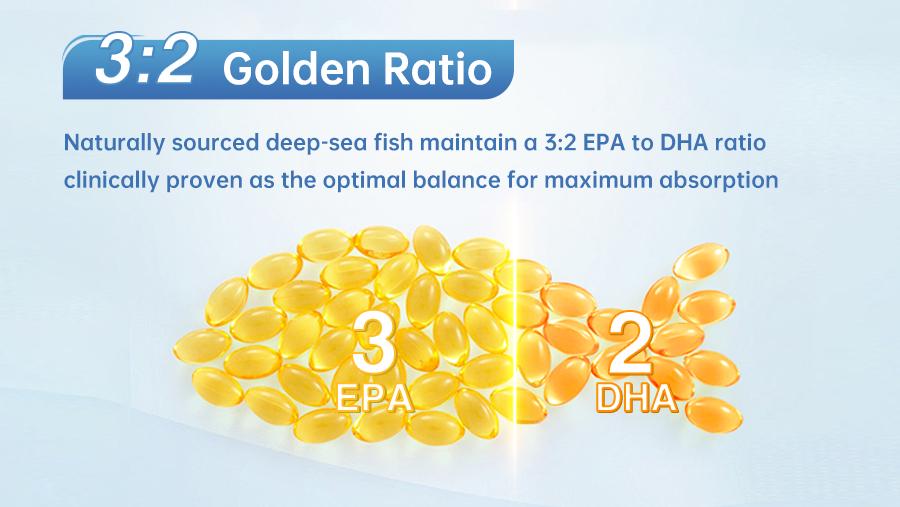 The 3:2 Golden Ratio of EPA to DHA in Omega fish oil, clinically proven as the optimal balance for maximum absorption in human cell membranes.