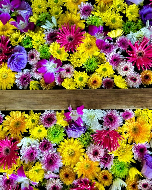 Photo:Tokyo Daijingu Chrysanthemum Festival