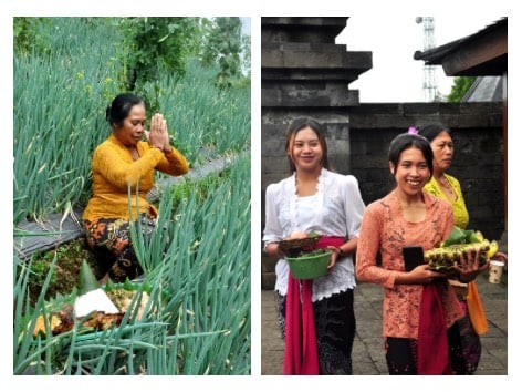 Praktik langsung simulasi ritual pertanian di Dusun Cetho
