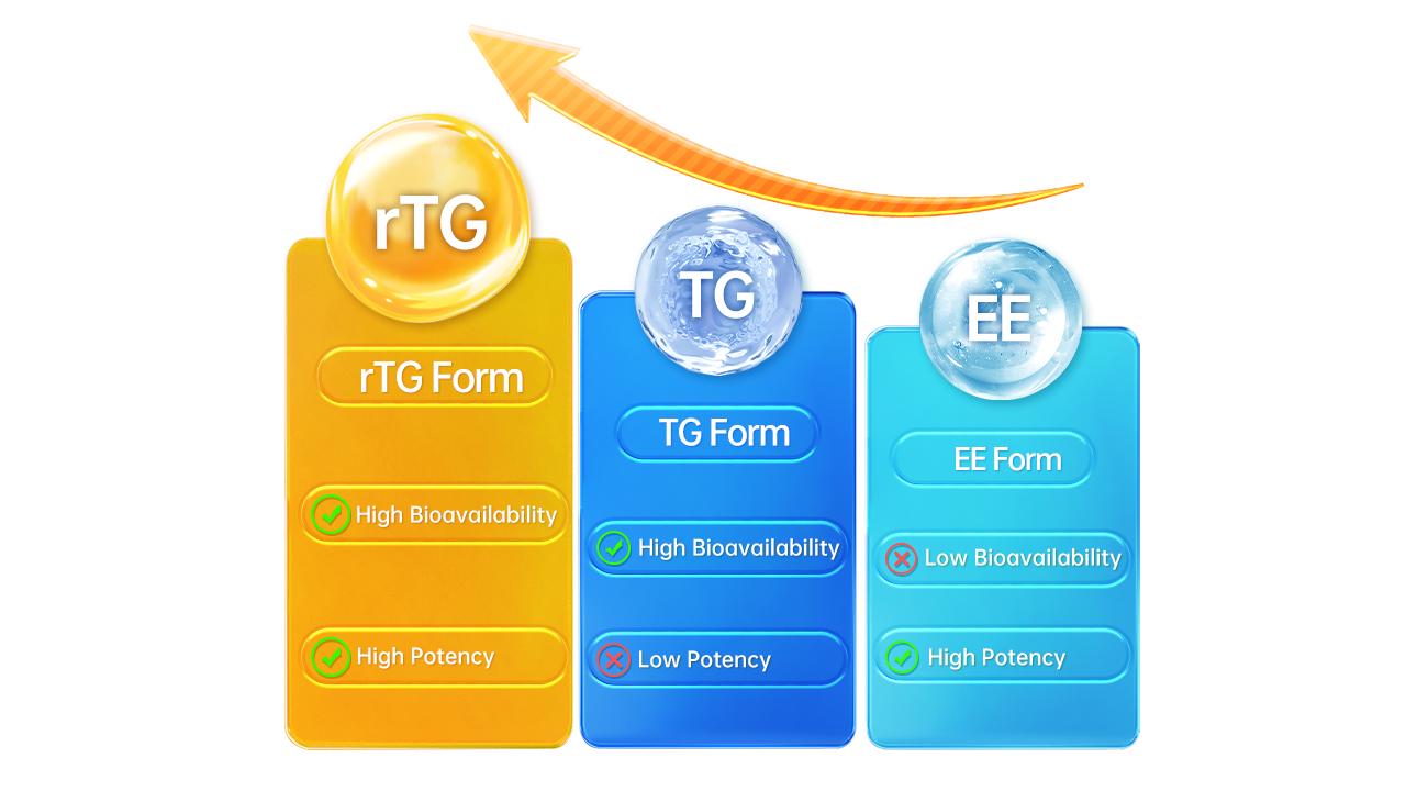 Bioavailability comparison: Vedonon's rTG molecular form vs traditional TG and EE fish oil structures for 4x higher biological utilization.