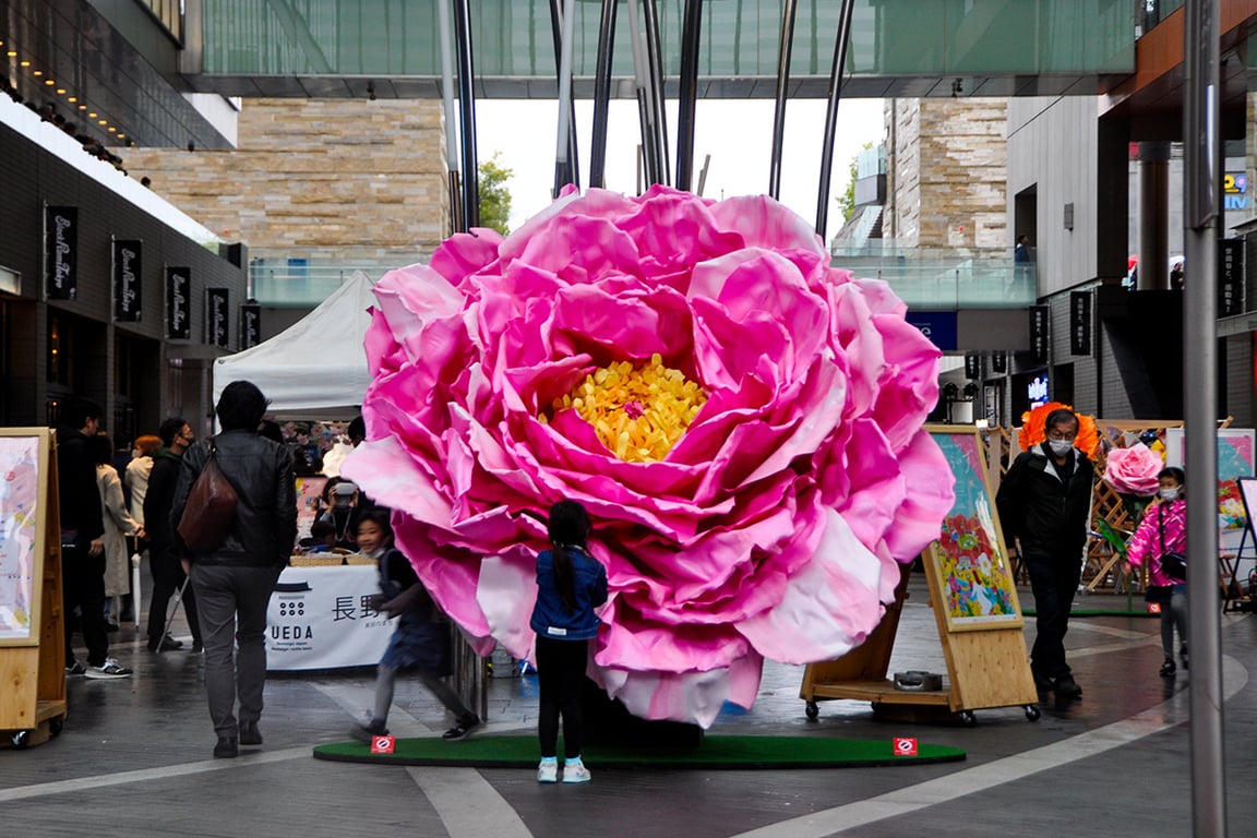 TOKYO Hyakka Ryōran /MEGU
