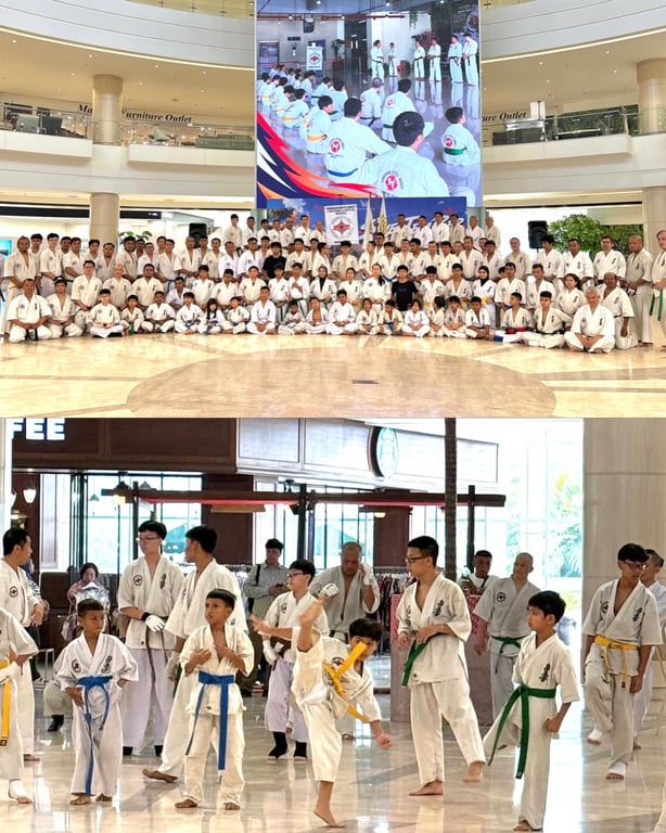 <i>&nbsp; Road to Kejurnas Karate Kyokushinkai&nbsp; - Main Atrium, Ground Floor&nbsp;&nbsp;</i>