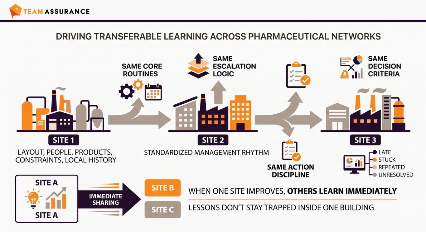 Standardised daily management makes learning transferable across a pharmaceutical network.