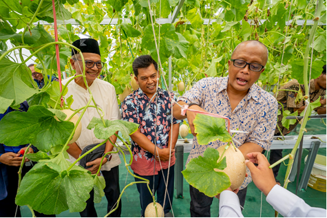 Direktur SDM Krakatau Steel, Suryantoro Waluyo (kanan), pada giat panen perdana greenhouse hidroponik, Rabu (14/1)
