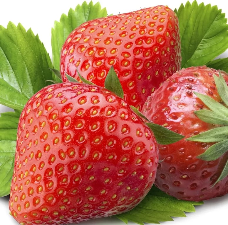 July seasonal food guide by Ian McAndrew