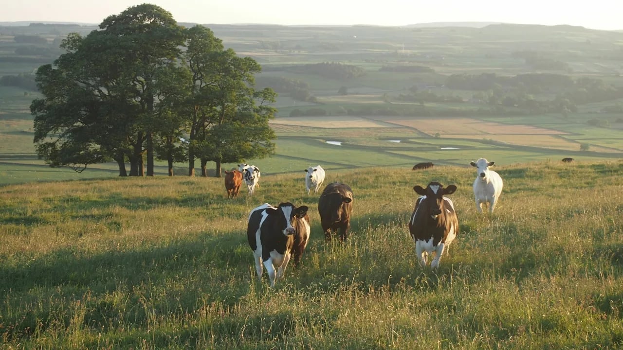 Hyper ‘Local Food Sourcing’ Build a Sustainable Supply Chain