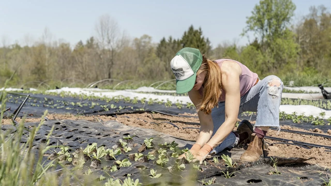 The Farmer’s Name: ‘Farm gate buying’ and why it matters.