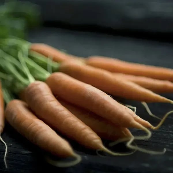 November seasonal food guide by Ian McAndrew