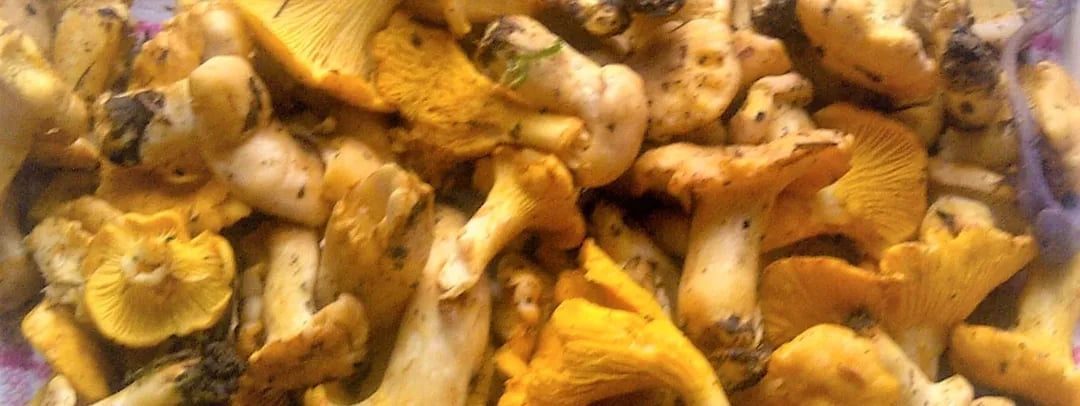 October seasonal food guide by Ian McAndrew
