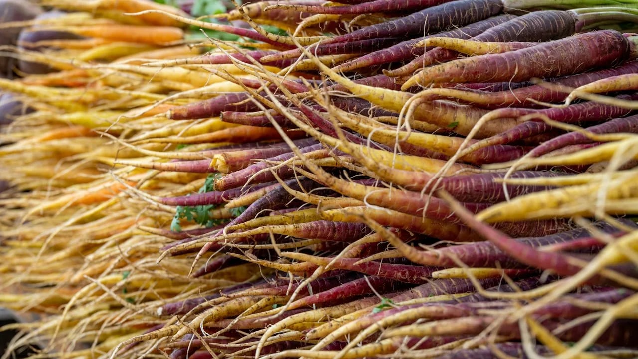 November Menu Planning: Get Ahead in October
