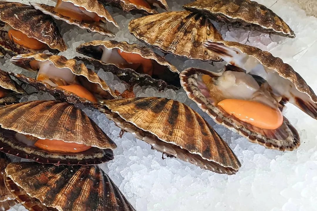 March seasonal food guide by Ian McAndrew