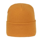 Front view of Cuffed Beanie