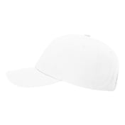 Side view of Ashland Recycled Dad Hat