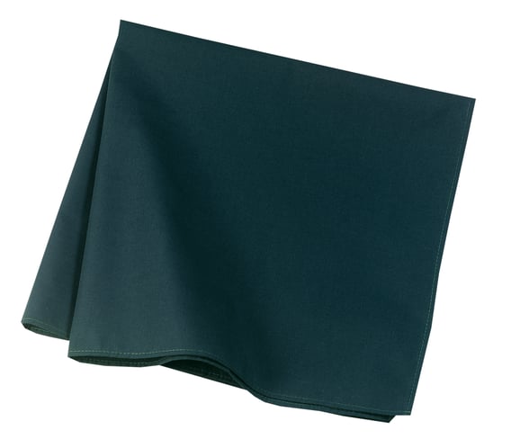 Front view of Bandana