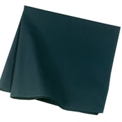 Front view of Bandana