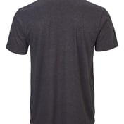 Back view of Tri-Blend T-Shirt