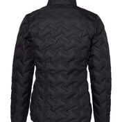 Back view of Women’s Delta Ridge™ II Down Jacket